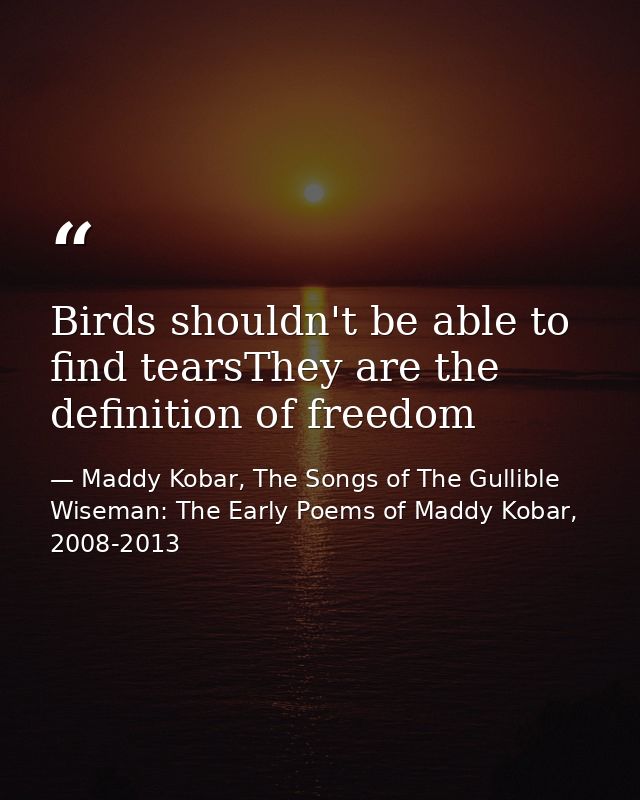 Birds shouldn't be able to find tearsThey are the definition of freedom — Maddy Kobar, The Songs of The Gullible Wiseman: The Early Poems of Maddy Kobar, 2008-2013