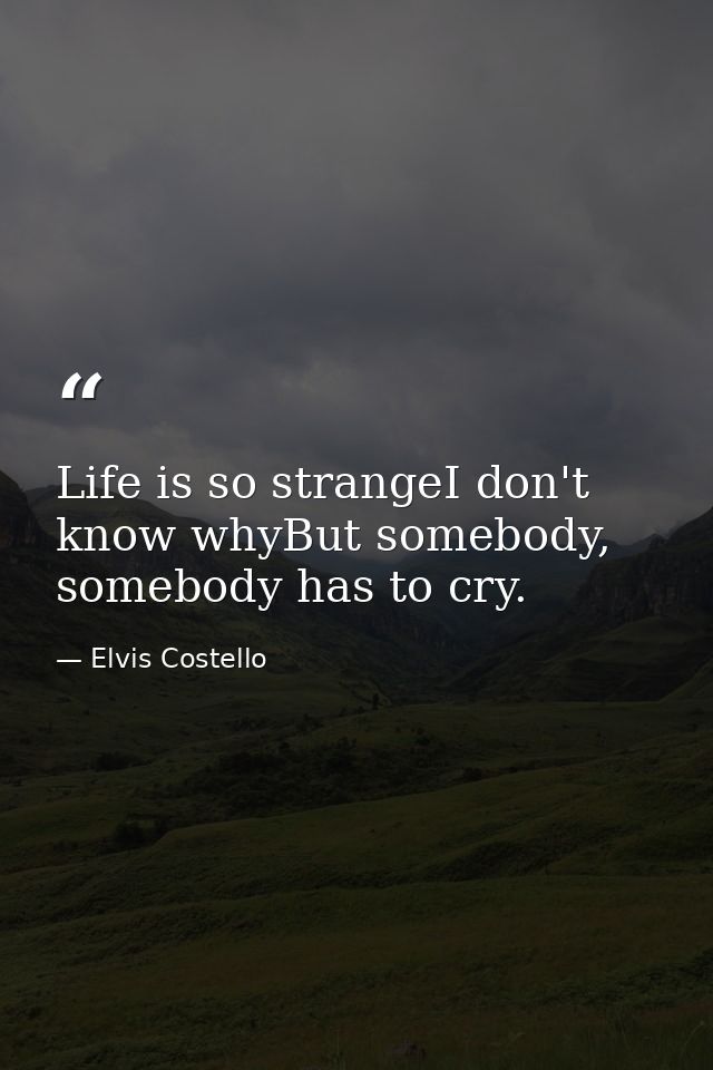 Life is so strangeI don't know whyBut somebody, somebody has to cry. — Elvis Costello