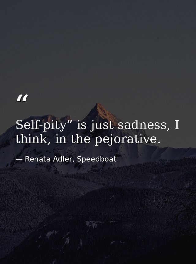 Self-pity” is just sadness, I think, in the pejorative. — Renata Adler, Speedboat