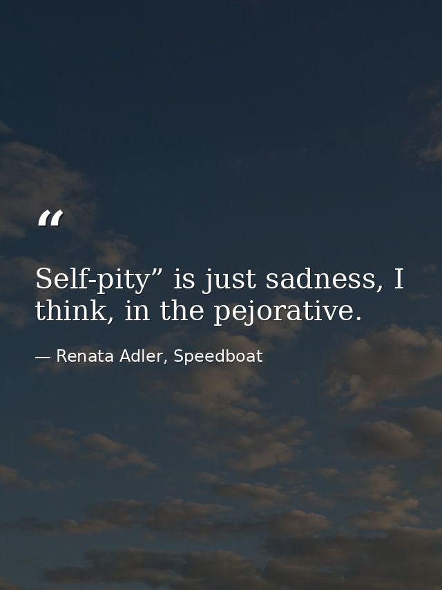 Self-pity” is just sadness, I think, in the pejorative. — Renata Adler, Speedboat