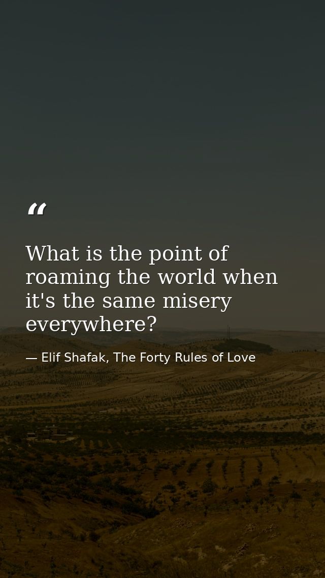 What is the point of roaming the world when it's the same misery everywhere? — Elif Shafak, The Forty Rules of Love