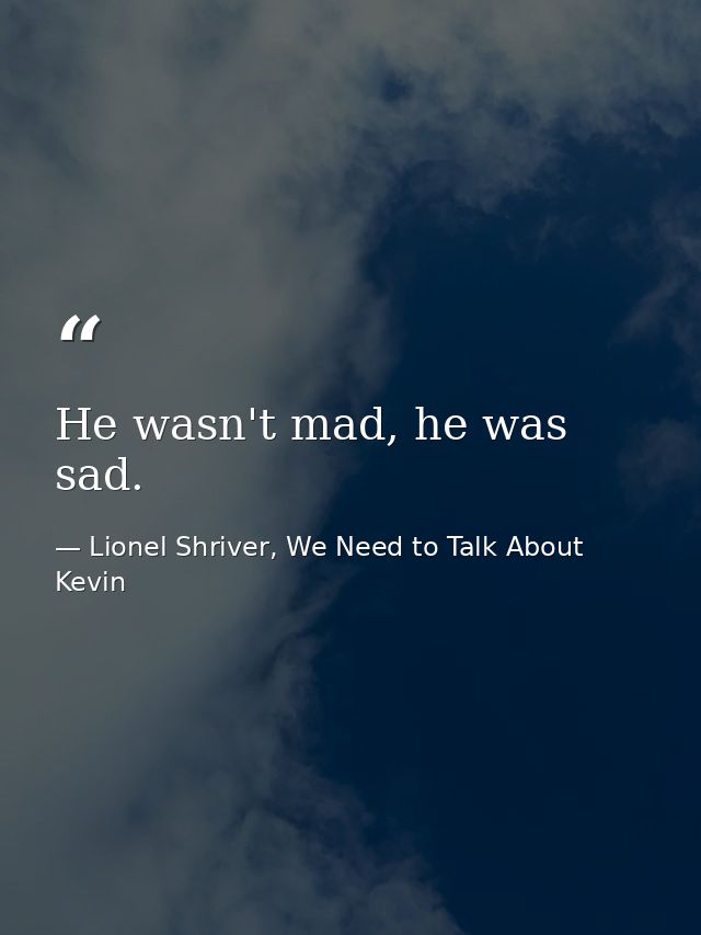 He wasn't mad, he was sad. — Lionel Shriver, We Need to Talk About Kevin