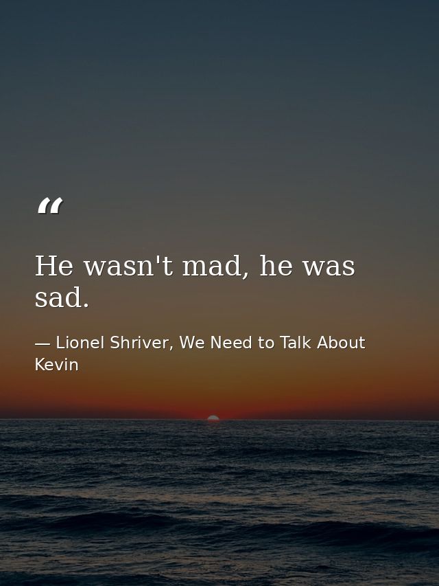He wasn't mad, he was sad. — Lionel Shriver, We Need to Talk About Kevin