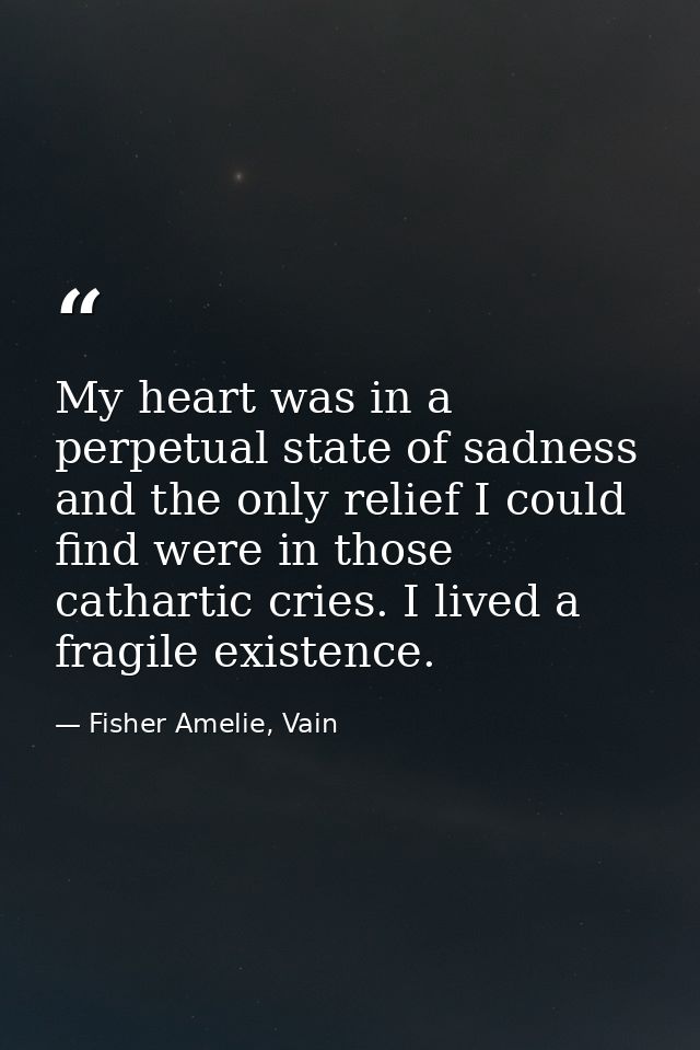 My heart was in a perpetual state of sadness and the only relief I could find were in those cathartic cries. I lived a f — Fisher Amelie, Vain