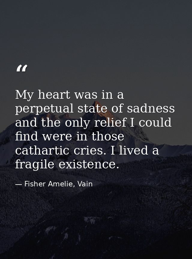 My heart was in a perpetual state of sadness and the only relief I could find were in those cathartic cries. I lived a f — Fisher Amelie, Vain