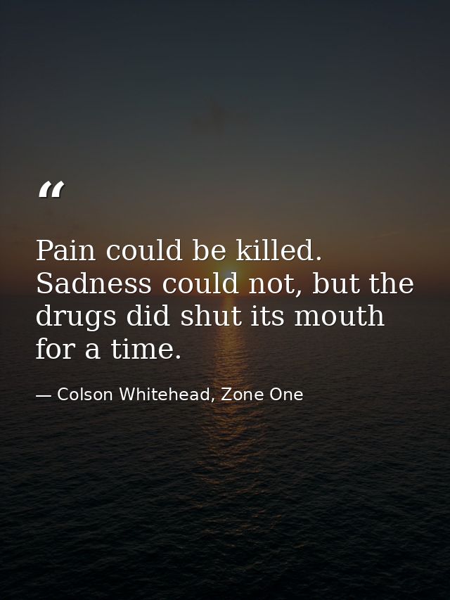 Pain could be killed. Sadness could not, but the drugs did shut its mouth for a time. — Colson Whitehead, Zone One