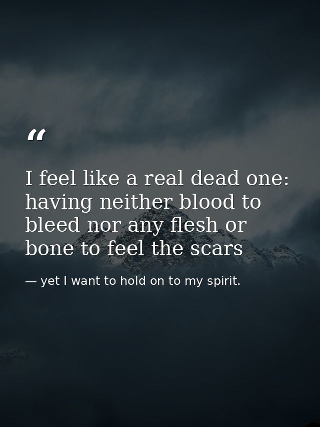 I feel like a real dead one: having neither blood to bleed nor any flesh or bone to feel the scars — yet I want to hold on to my spirit.