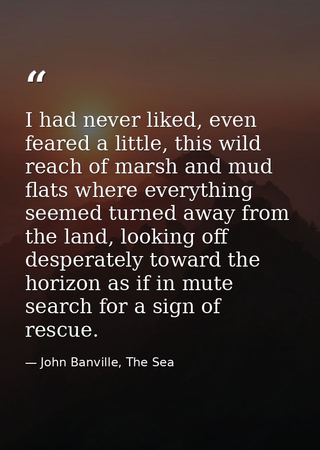 I had never liked, even feared a little, this wild reach of marsh and mud flats where everything seemed turned away from — John Banville, The Sea