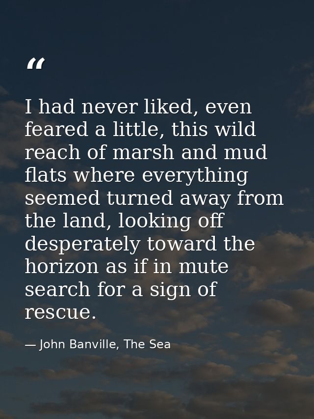 I had never liked, even feared a little, this wild reach of marsh and mud flats where everything seemed turned away from — John Banville, The Sea