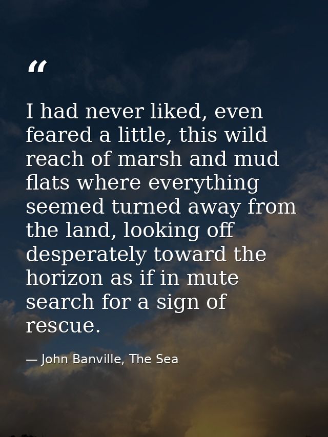 I had never liked, even feared a little, this wild reach of marsh and mud flats where everything seemed turned away from — John Banville, The Sea