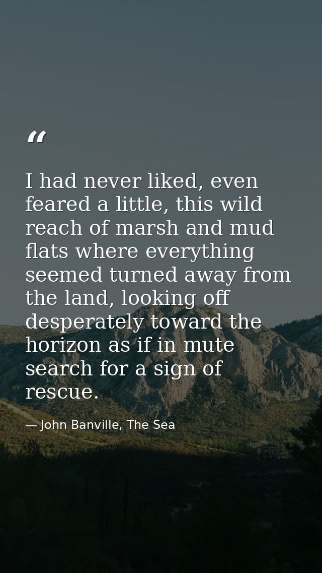 I had never liked, even feared a little, this wild reach of marsh and mud flats where everything seemed turned away from — John Banville, The Sea