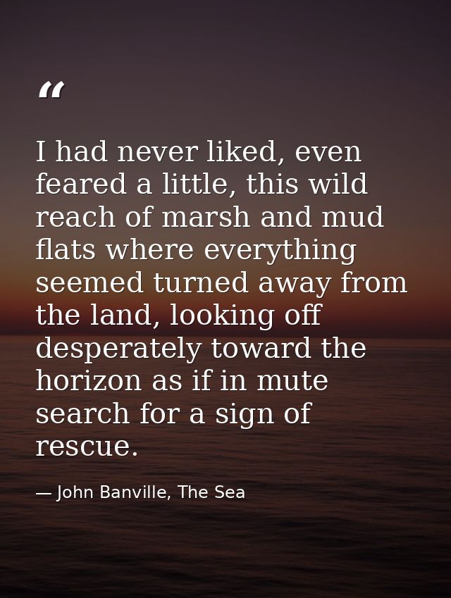 I had never liked, even feared a little, this wild reach of marsh and mud flats where everything seemed turned away from — John Banville, The Sea