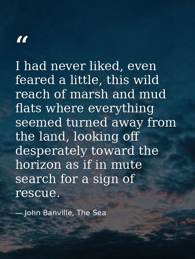I had never liked, even feared a little, this wild reach of marsh and mud flats where everything seemed turned away from — John Banville, The Sea
