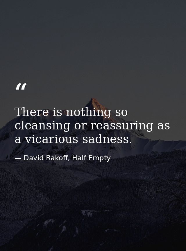 There is nothing so cleansing or reassuring as a vicarious sadness. — David Rakoff, Half Empty