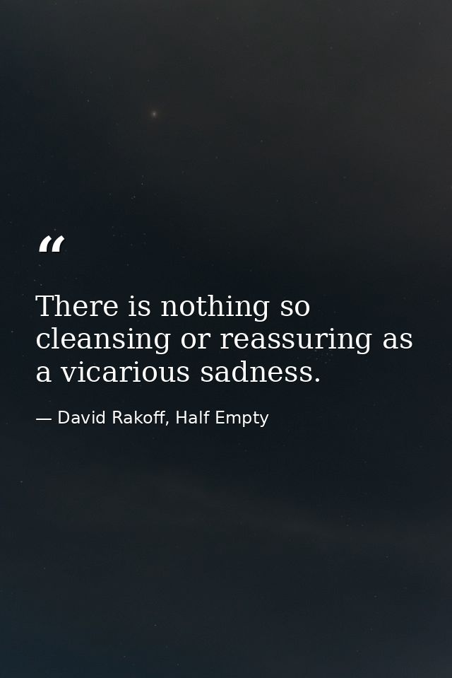 There is nothing so cleansing or reassuring as a vicarious sadness. — David Rakoff, Half Empty