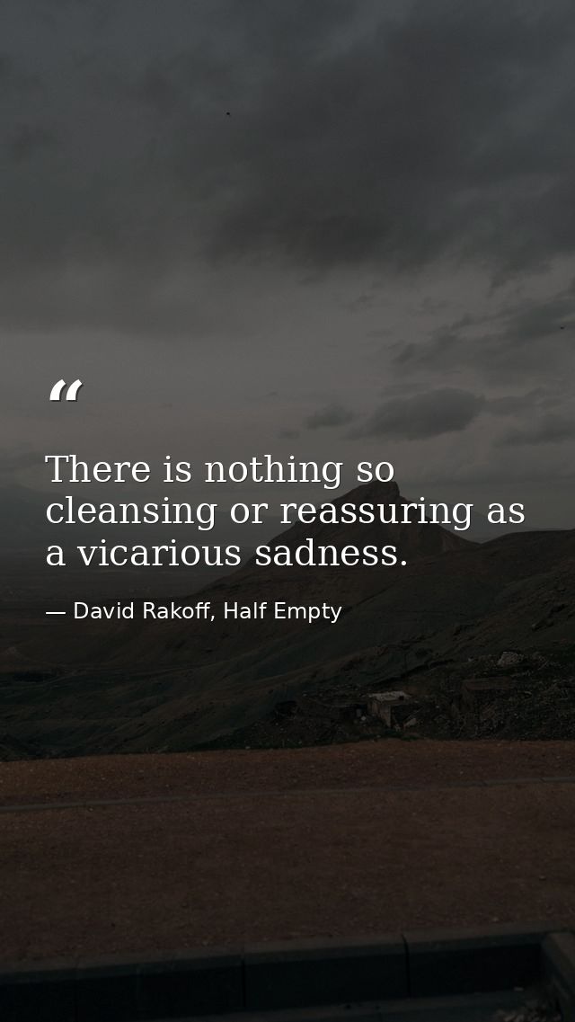 There is nothing so cleansing or reassuring as a vicarious sadness. — David Rakoff, Half Empty