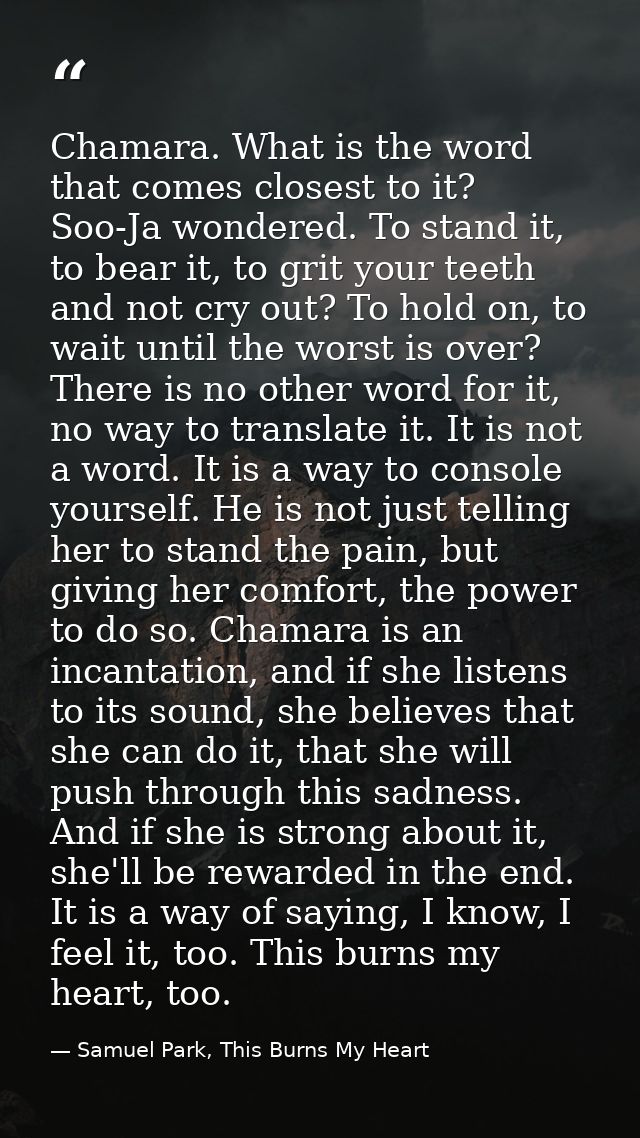 Chamara. What is the word that comes closest to it? Soo-Ja wondered. To stand it, to bear it, to grit your teeth and not — Samuel Park, This Burns My Heart