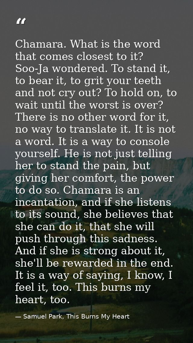 Chamara. What is the word that comes closest to it? Soo-Ja wondered. To stand it, to bear it, to grit your teeth and not — Samuel Park, This Burns My Heart