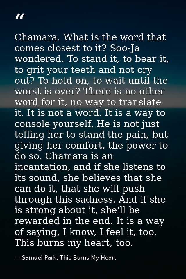 Chamara. What is the word that comes closest to it? Soo-Ja wondered. To stand it, to bear it, to grit your teeth and not — Samuel Park, This Burns My Heart