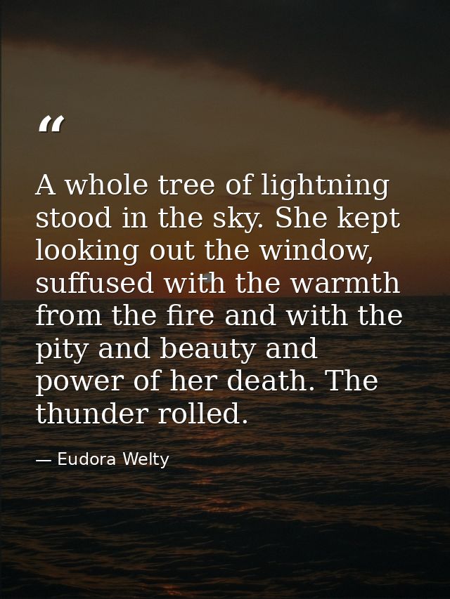 A whole tree of lightning stood in the sky. She kept looking out the window, suffused with the warmth from the fire and  — Eudora Welty