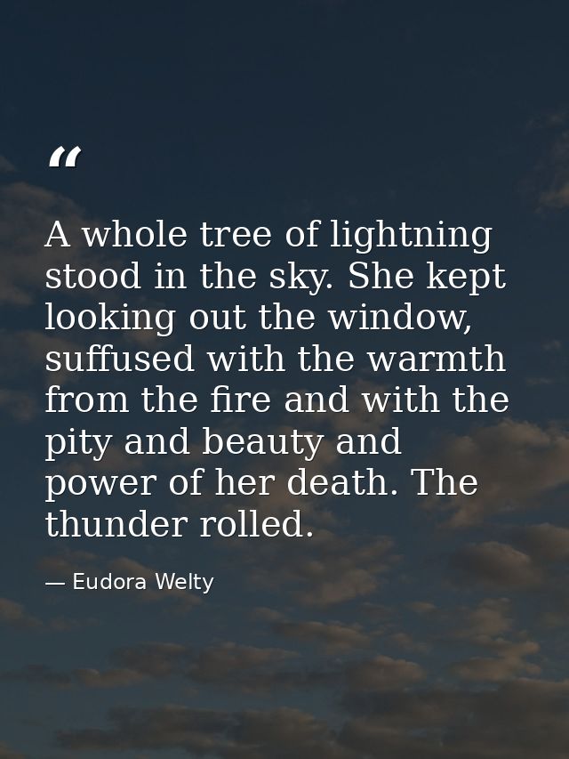 A whole tree of lightning stood in the sky. She kept looking out the window, suffused with the warmth from the fire and  — Eudora Welty