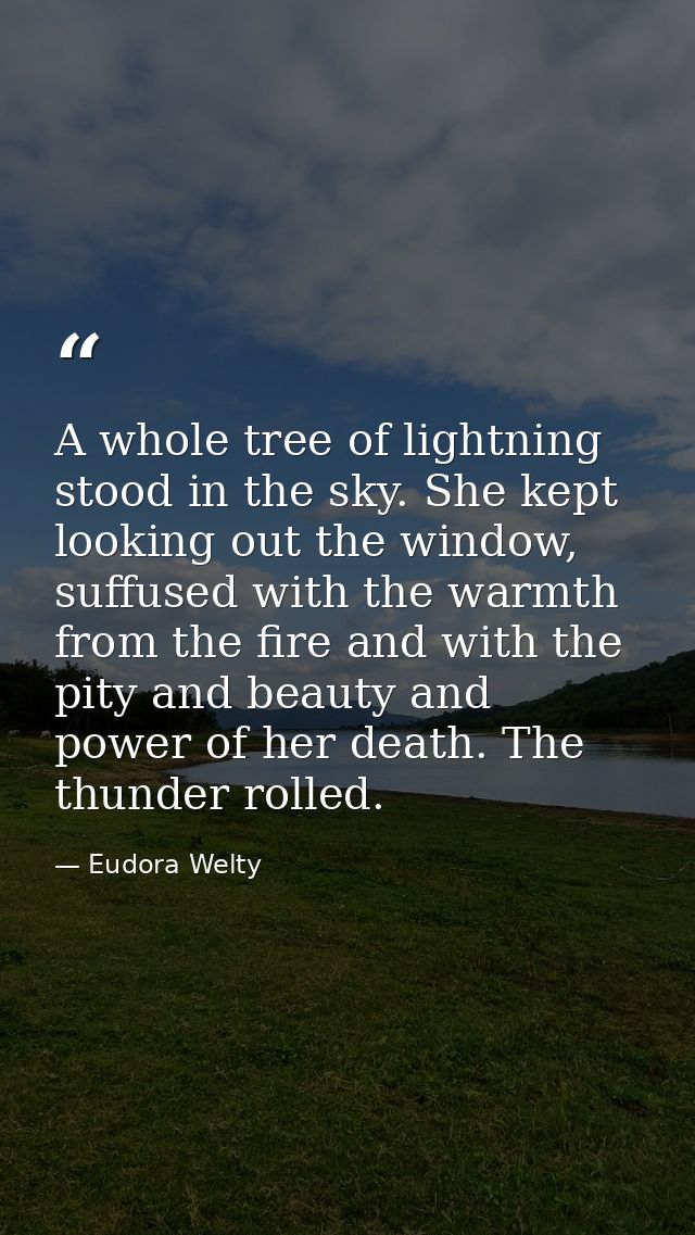 A whole tree of lightning stood in the sky. She kept looking out the window, suffused with the warmth from the fire and  — Eudora Welty