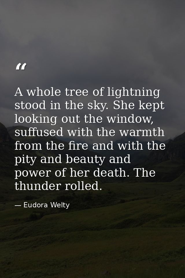 A whole tree of lightning stood in the sky. She kept looking out the window, suffused with the warmth from the fire and  — Eudora Welty