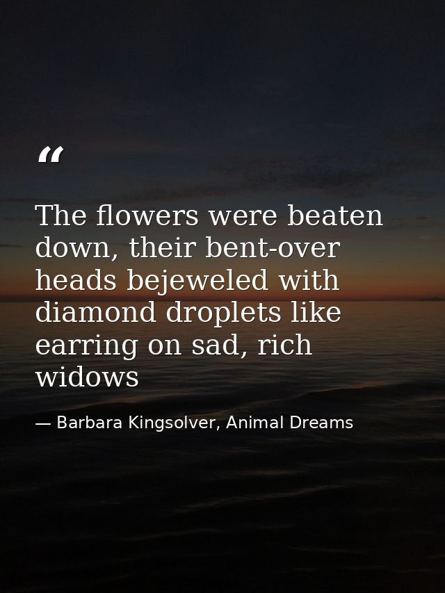 The flowers were beaten down, their bent-over heads bejeweled with diamond droplets like earring on sad, rich widows — Barbara Kingsolver, Animal Dreams