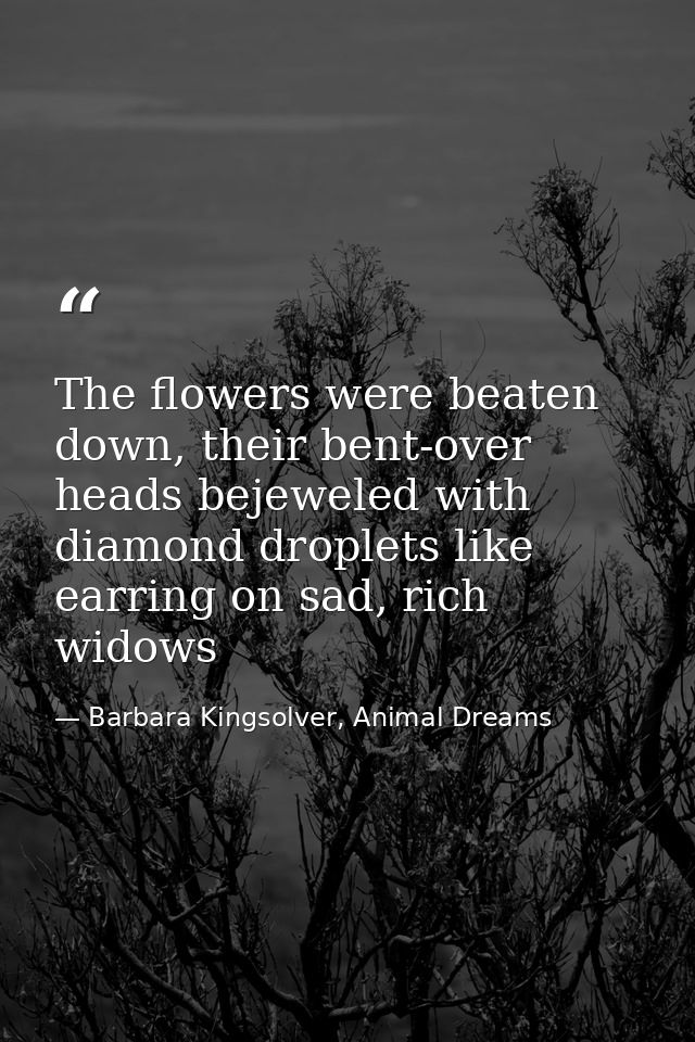 The flowers were beaten down, their bent-over heads bejeweled with diamond droplets like earring on sad, rich widows — Barbara Kingsolver, Animal Dreams