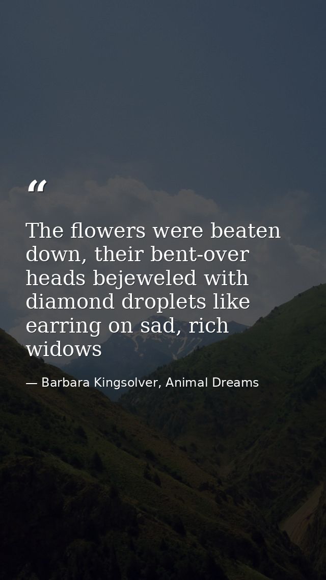 The flowers were beaten down, their bent-over heads bejeweled with diamond droplets like earring on sad, rich widows — Barbara Kingsolver, Animal Dreams
