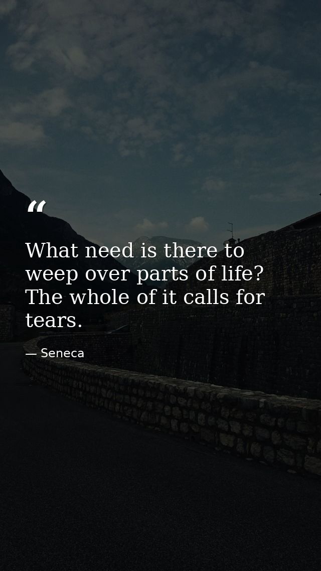 What need is there to weep over parts of life? The whole of it calls for tears. — Seneca