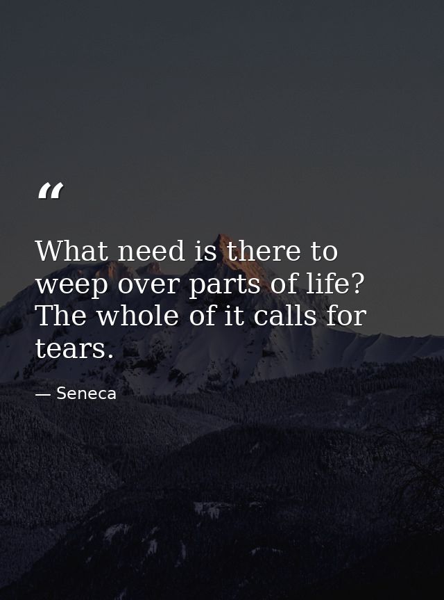 What need is there to weep over parts of life? The whole of it calls for tears. — Seneca