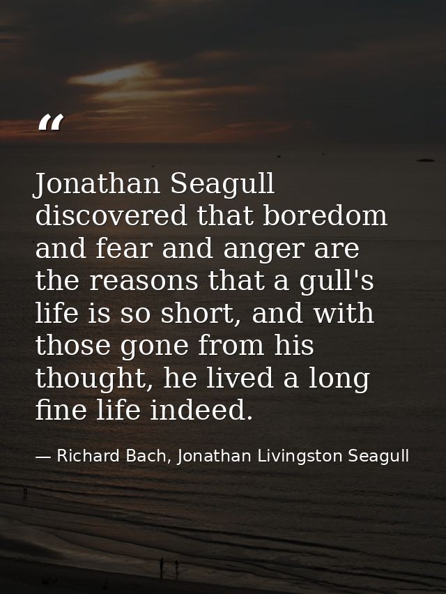 Jonathan Seagull discovered that boredom and fear and anger are the reasons that a gull's life is so short, and with tho — Richard Bach, Jonathan Livingston Seagull