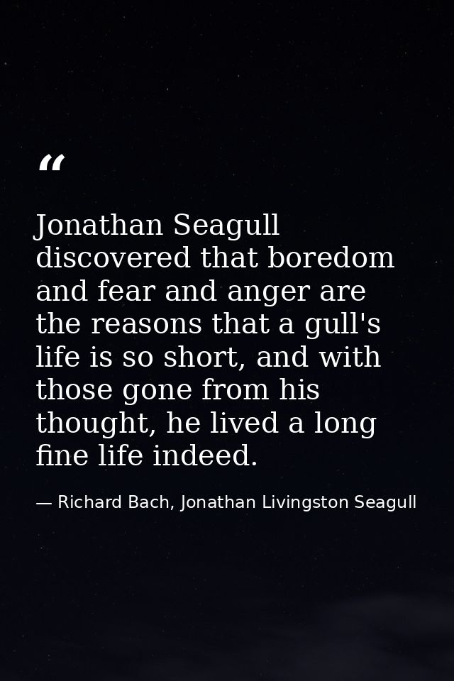 Jonathan Seagull discovered that boredom and fear and anger are the reasons that a gull's life is so short, and with tho — Richard Bach, Jonathan Livingston Seagull