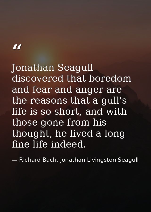 Jonathan Seagull discovered that boredom and fear and anger are the reasons that a gull's life is so short, and with tho — Richard Bach, Jonathan Livingston Seagull