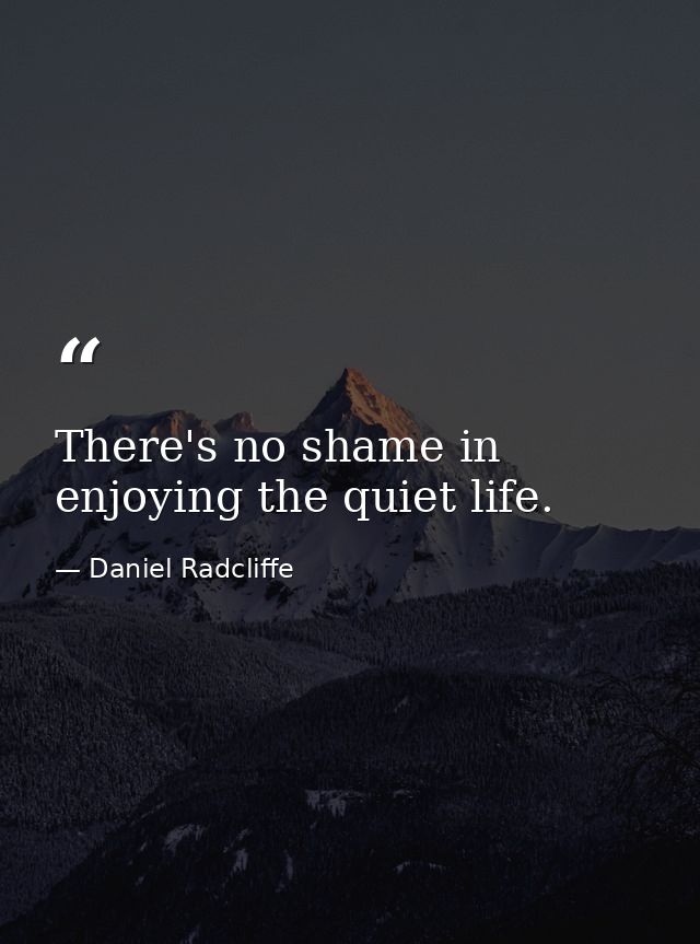 There's no shame in enjoying the quiet life. — Daniel Radcliffe
