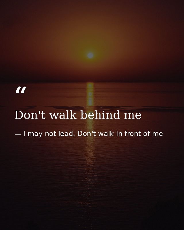 Don't walk behind me — I may not lead. Don't walk in front of me