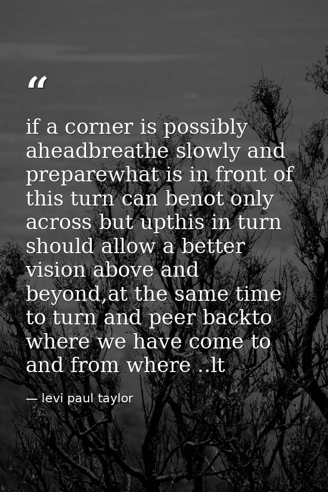 if a corner is possibly aheadbreathe slowly and preparewhat is in front of this turn can benot only across but upthis in — levi paul taylor