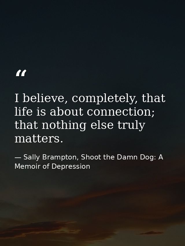 I believe, completely, that life is about connection; that nothing else truly matters. — Sally Brampton, Shoot the Damn Dog: A Memoir of Depression