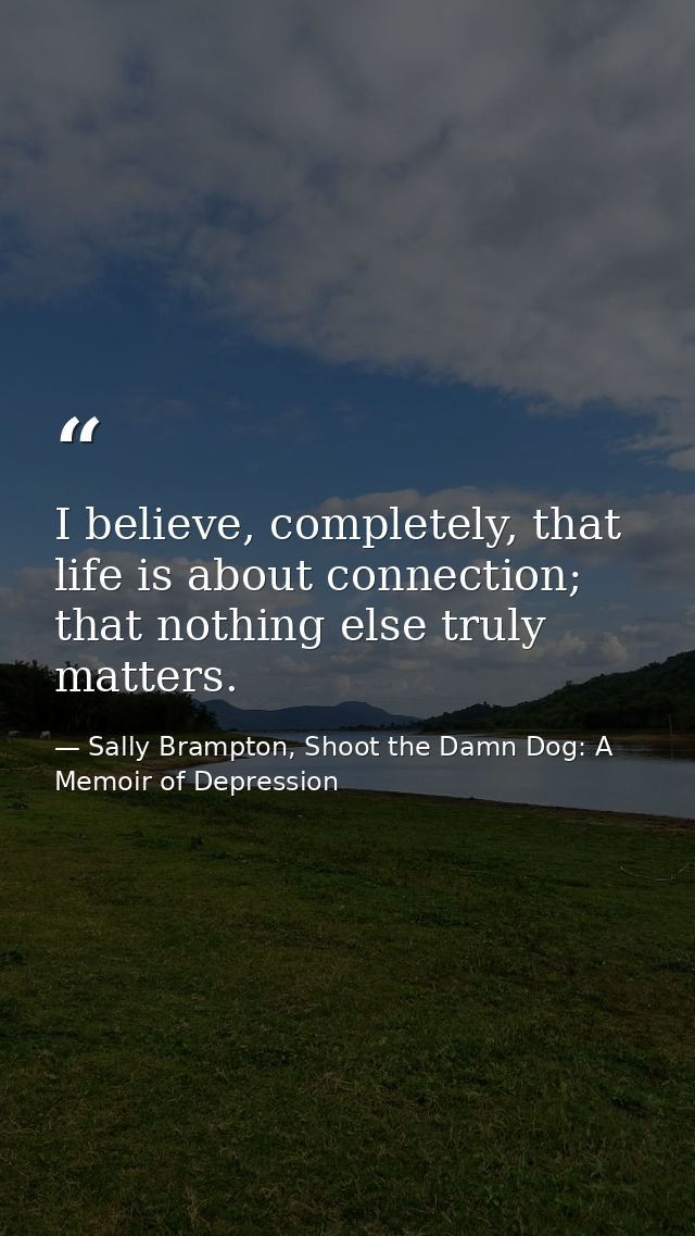 I believe, completely, that life is about connection; that nothing else truly matters. — Sally Brampton, Shoot the Damn Dog: A Memoir of Depression
