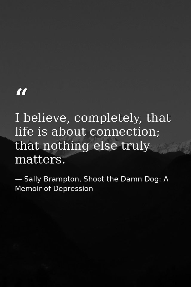 I believe, completely, that life is about connection; that nothing else truly matters. — Sally Brampton, Shoot the Damn Dog: A Memoir of Depression