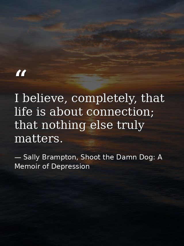 I believe, completely, that life is about connection; that nothing else truly matters. — Sally Brampton, Shoot the Damn Dog: A Memoir of Depression