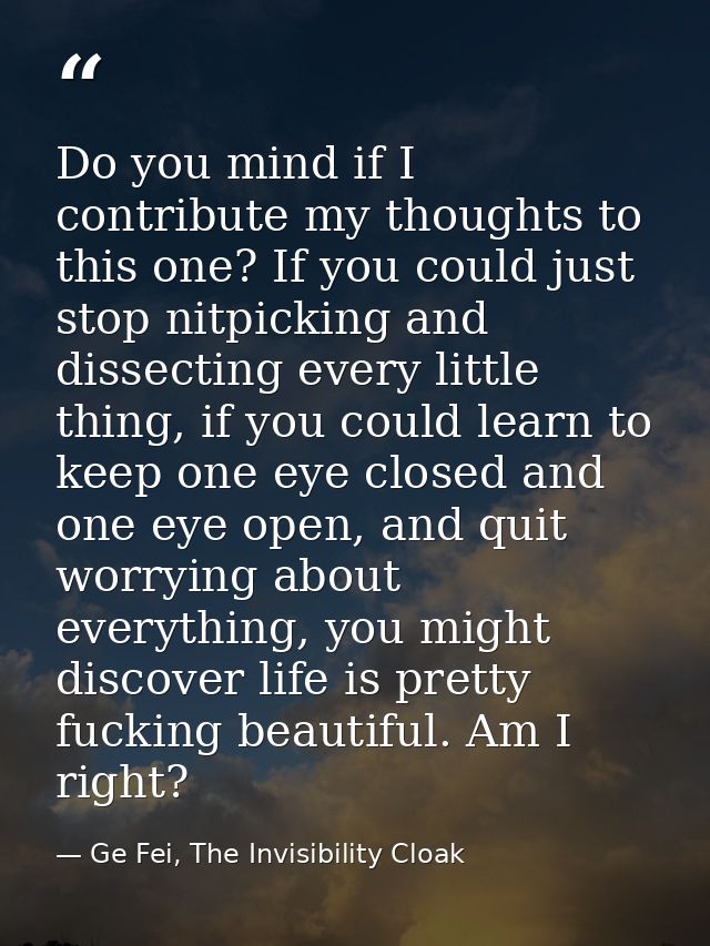Do you mind if I contribute my thoughts to this one? If you could just stop nitpicking and dissecting every little thing — Ge Fei, The Invisibility Cloak