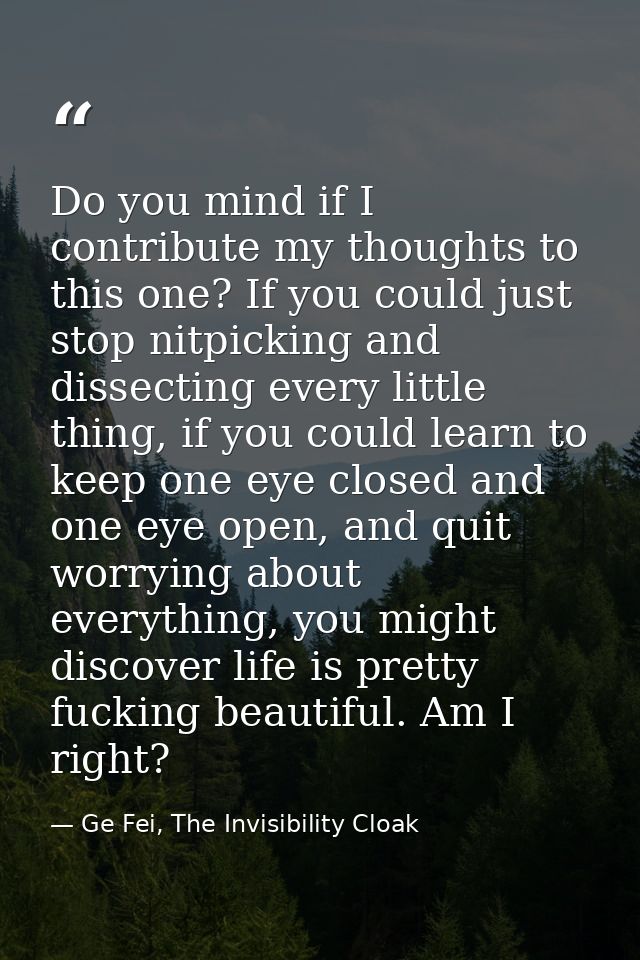 Do you mind if I contribute my thoughts to this one? If you could just stop nitpicking and dissecting every little thing — Ge Fei, The Invisibility Cloak