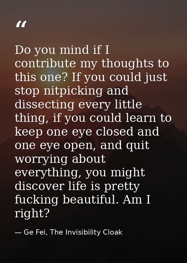 Do you mind if I contribute my thoughts to this one? If you could just stop nitpicking and dissecting every little thing — Ge Fei, The Invisibility Cloak