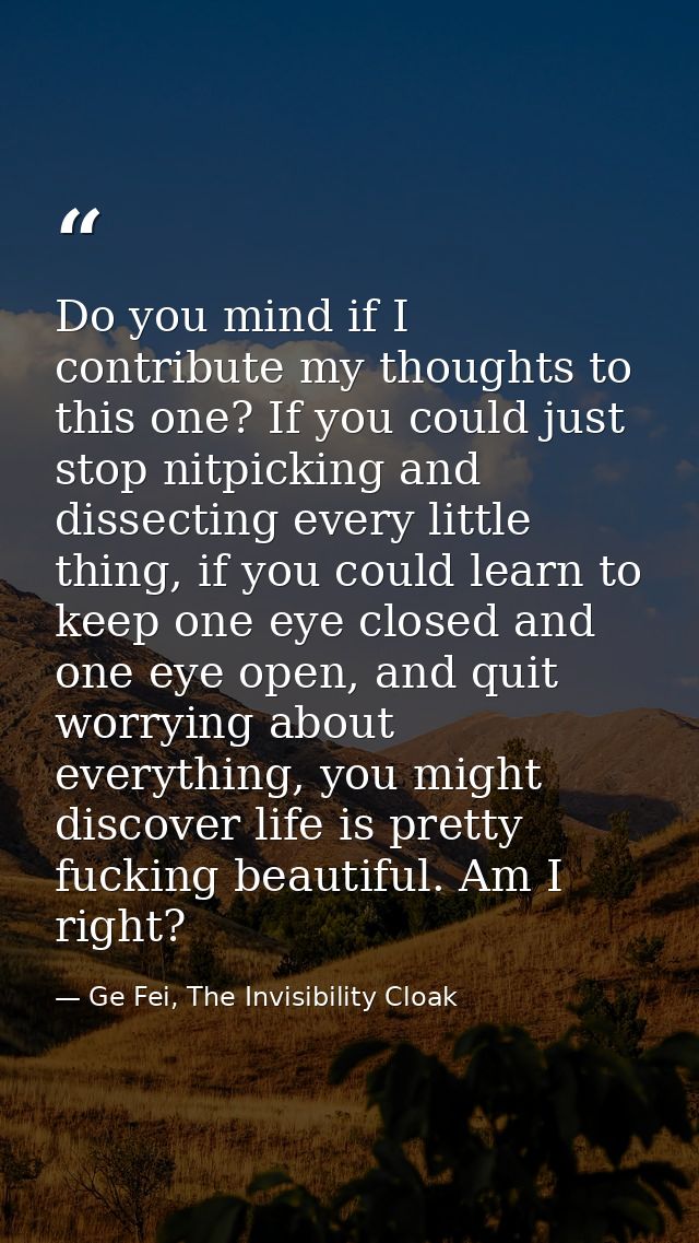 Do you mind if I contribute my thoughts to this one? If you could just stop nitpicking and dissecting every little thing — Ge Fei, The Invisibility Cloak
