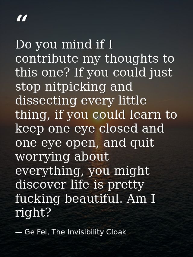 Do you mind if I contribute my thoughts to this one? If you could just stop nitpicking and dissecting every little thing — Ge Fei, The Invisibility Cloak