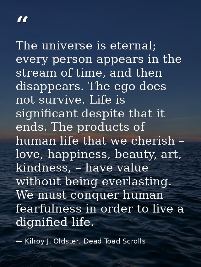 The universe is eternal; every person appears in the stream of time, and then disappears. The ego does not survive. Life — Kilroy J. Oldster, Dead Toad Scrolls
