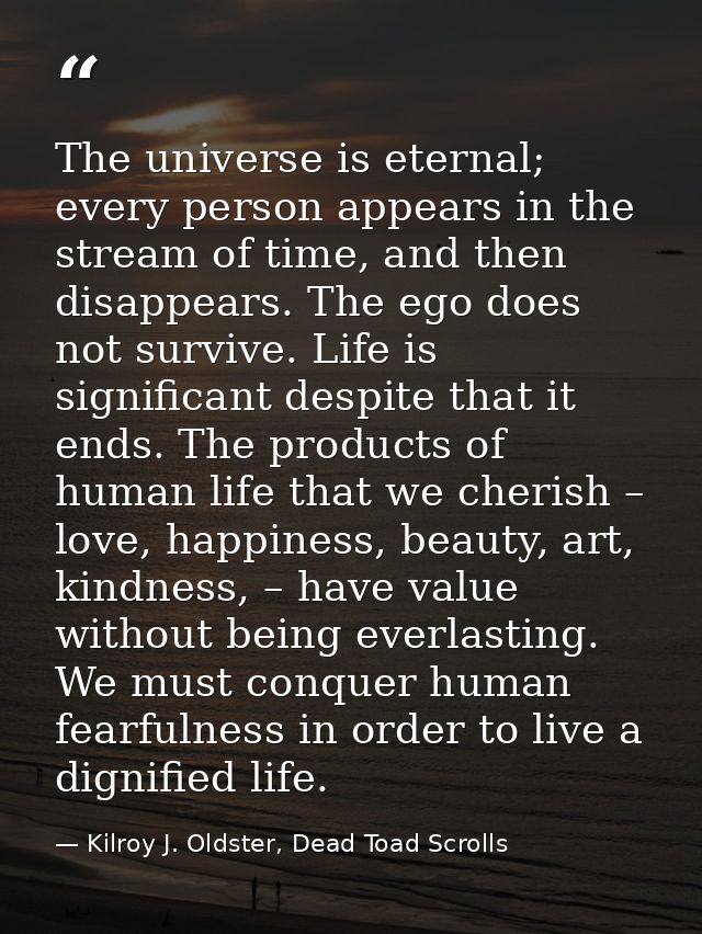 The universe is eternal; every person appears in the stream of time, and then disappears. The ego does not survive. Life — Kilroy J. Oldster, Dead Toad Scrolls