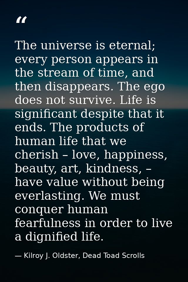 The universe is eternal; every person appears in the stream of time, and then disappears. The ego does not survive. Life — Kilroy J. Oldster, Dead Toad Scrolls